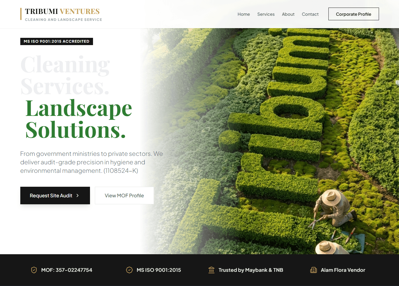 Screenshot of the cleaning.tribumi.com website